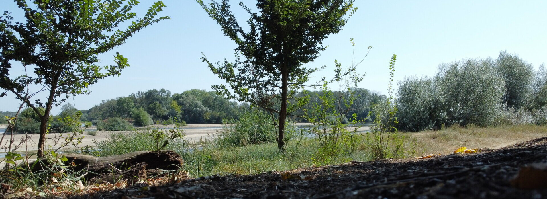 Sentier pédagogique au Bec d'Allier